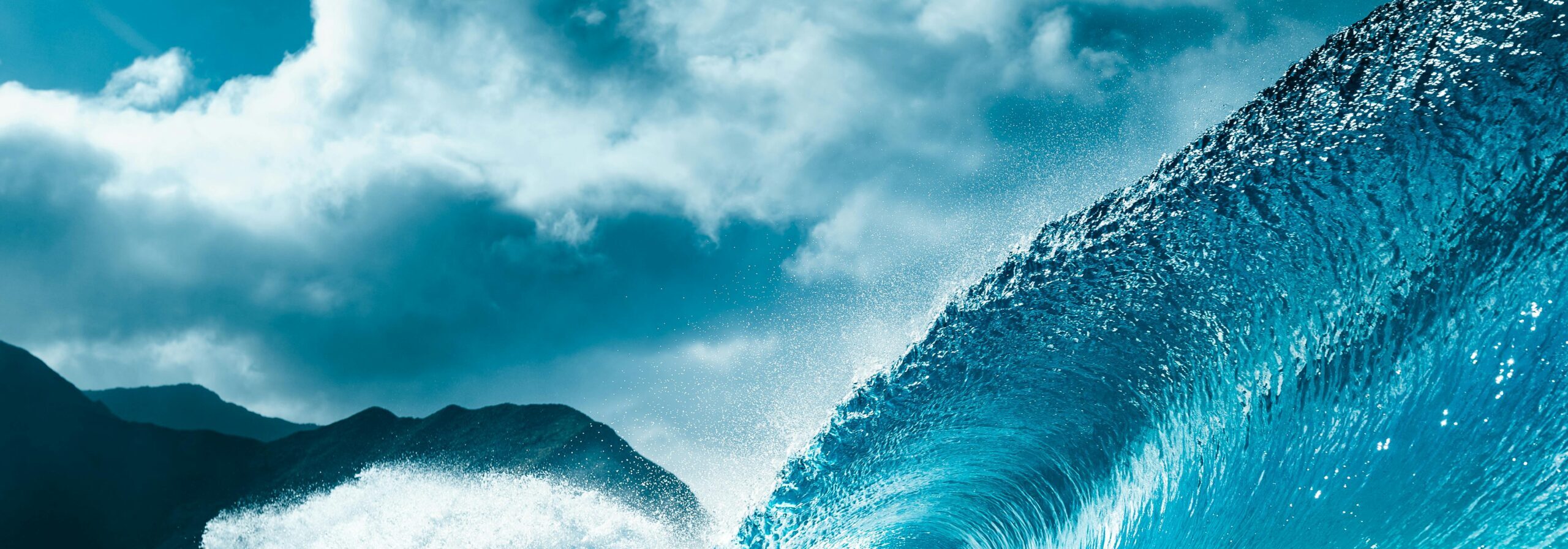 Interview: We aim to support the industry in transitioning to hydrogen